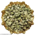 خارخاسک خشک