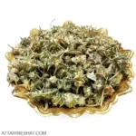 قیمت و خرید خارخاسک