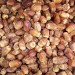 خرما خشک زاهدی