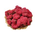 گلنار فارسی