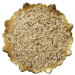 تخم کتان پرنده