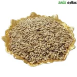 تخم کتان پرنده