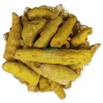 ریزوم زردچوبه