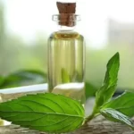 روغن نعنا برای زود انزالی