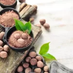 خواص جوز هندی برای مردان